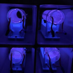 quartz tube technology