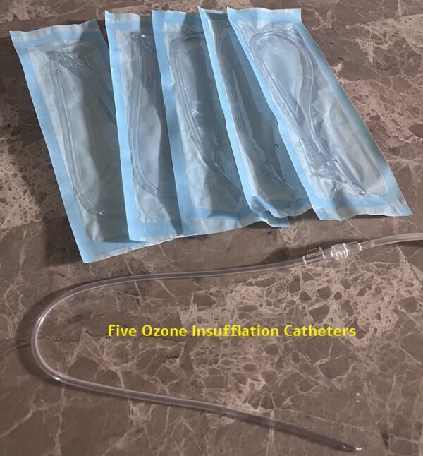 Ozone insufflation catheters